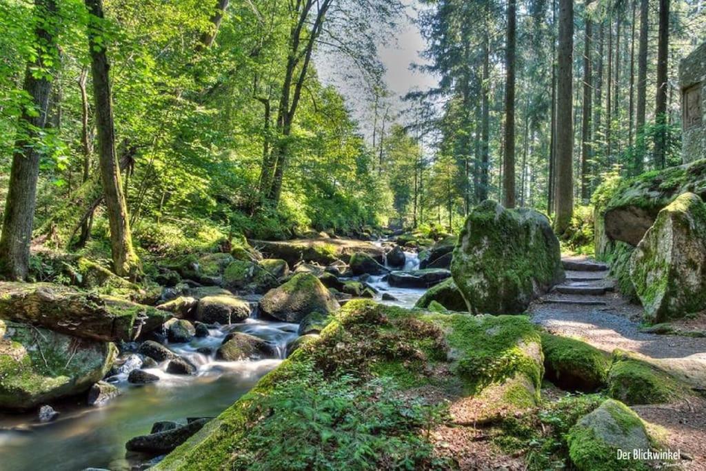 Cozy I Blockhuette Im Nationalpark I Ferienwohnung Neureichenau Exterior foto