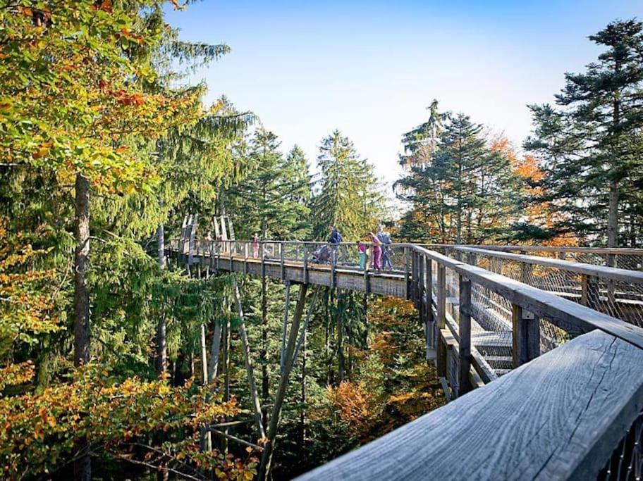 Cozy I Blockhuette Im Nationalpark I Ferienwohnung Neureichenau Exterior foto