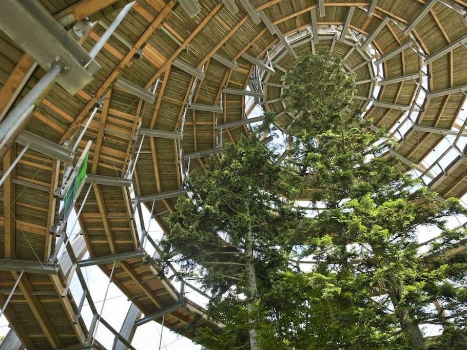 Cozy I Blockhuette Im Nationalpark I Ferienwohnung Neureichenau Exterior foto